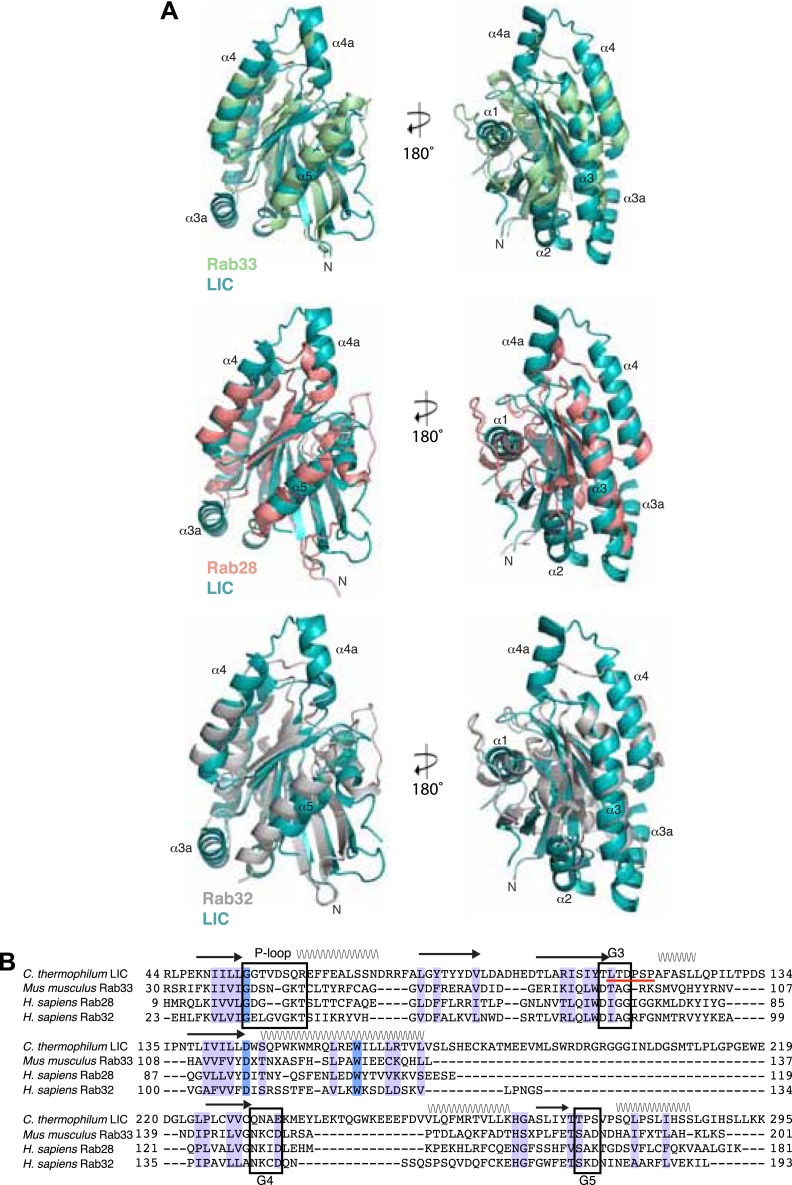 Figure 1—figure supplement 2.