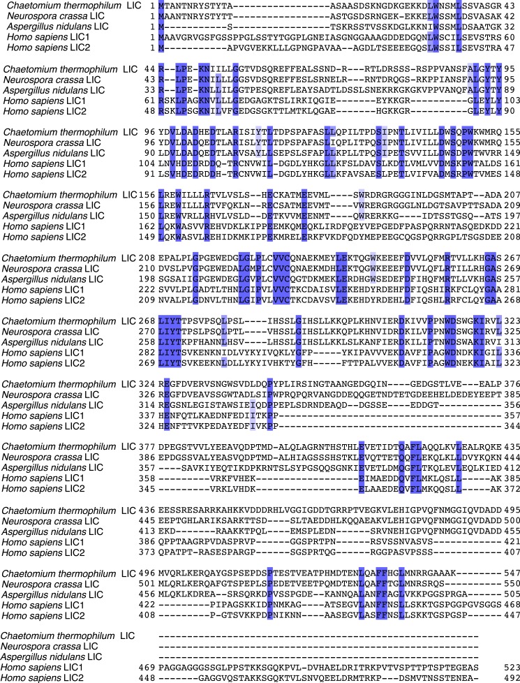 Figure 1—figure supplement 1.