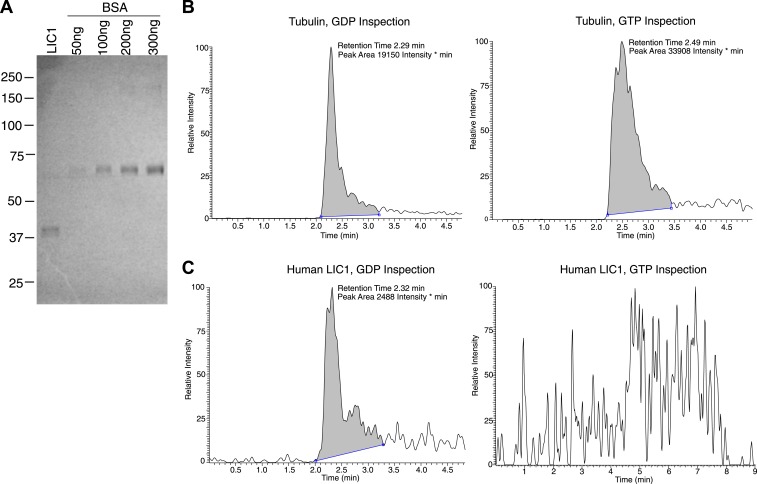 Figure 4—figure supplement 3.