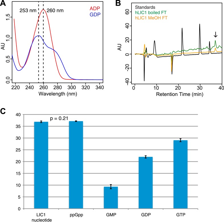 Figure 4—figure supplement 1.