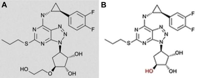 Figure 5