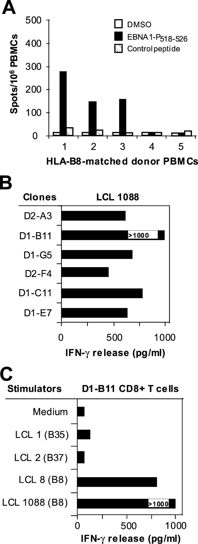 Figure 7.