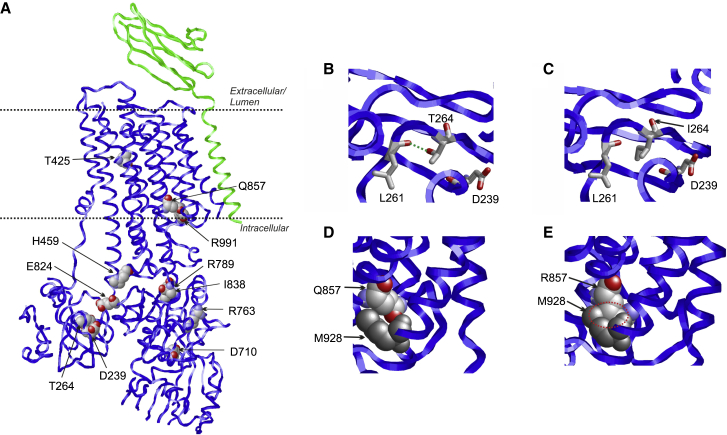 Figure 3