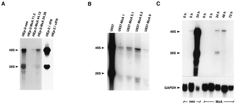 FIG. 5