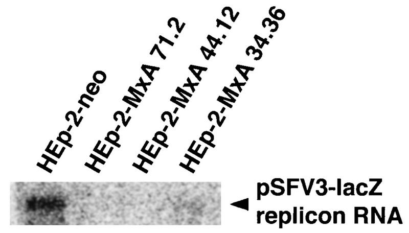 FIG. 7