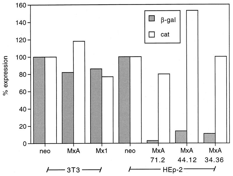 FIG. 6