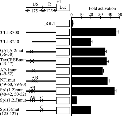 FIG. 2.