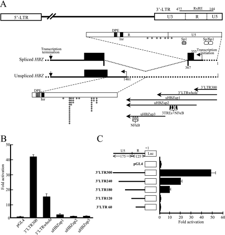 FIG. 1.