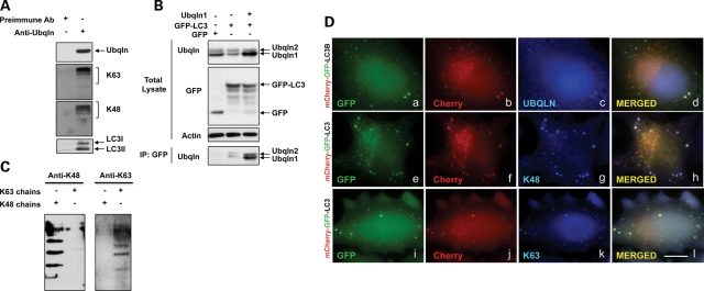 Figure 2.