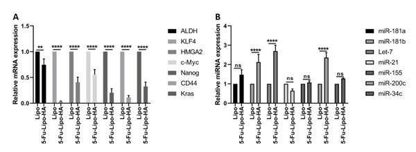 Figure 11.