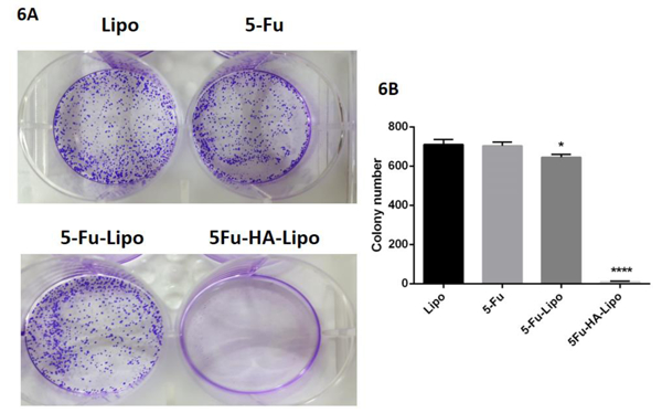 Figure 10.