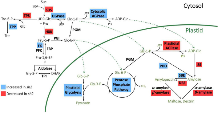 FIGURE 3