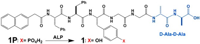 Scheme 2