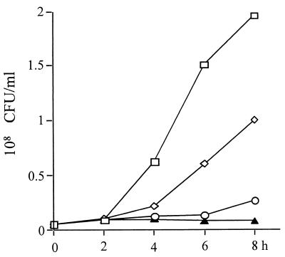 FIG. 5