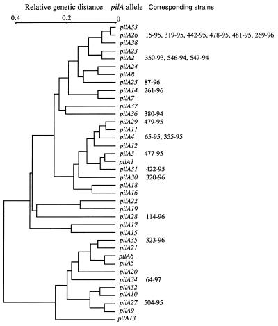 FIG. 1
