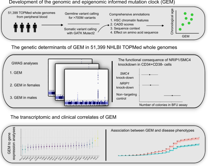 Figure 1: