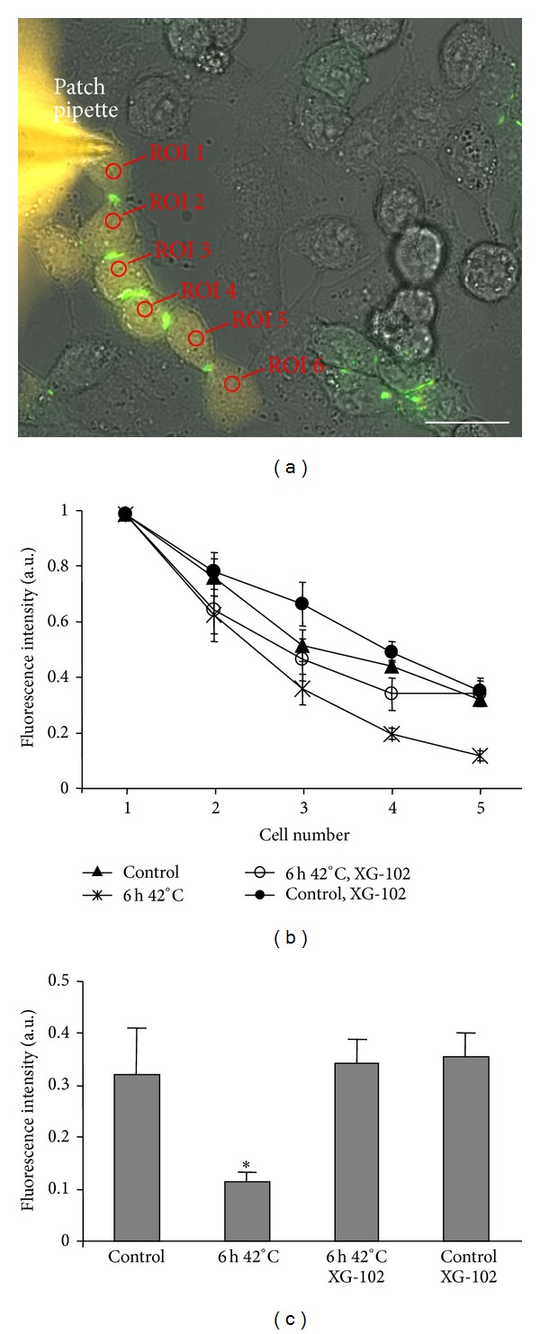 Figure 6