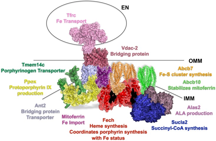 Fig 6