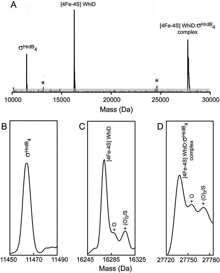 Figure 6.