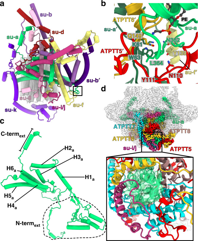 Fig. 4