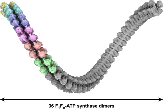 Fig. 8