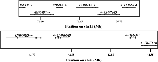 Figure 1.