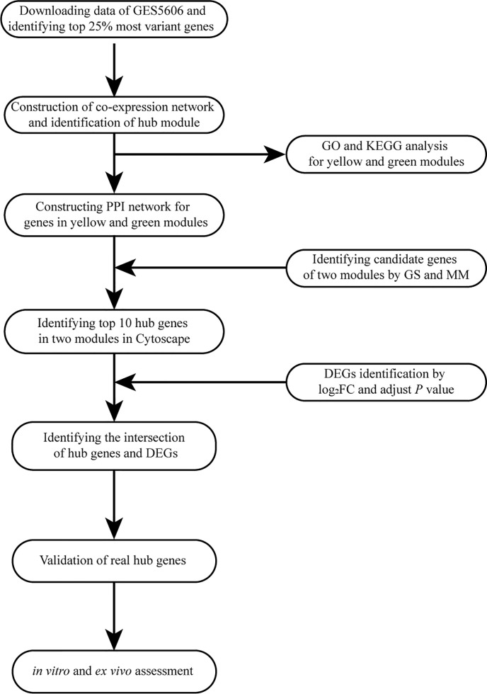 Figure 1