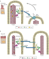 Fig. 1.