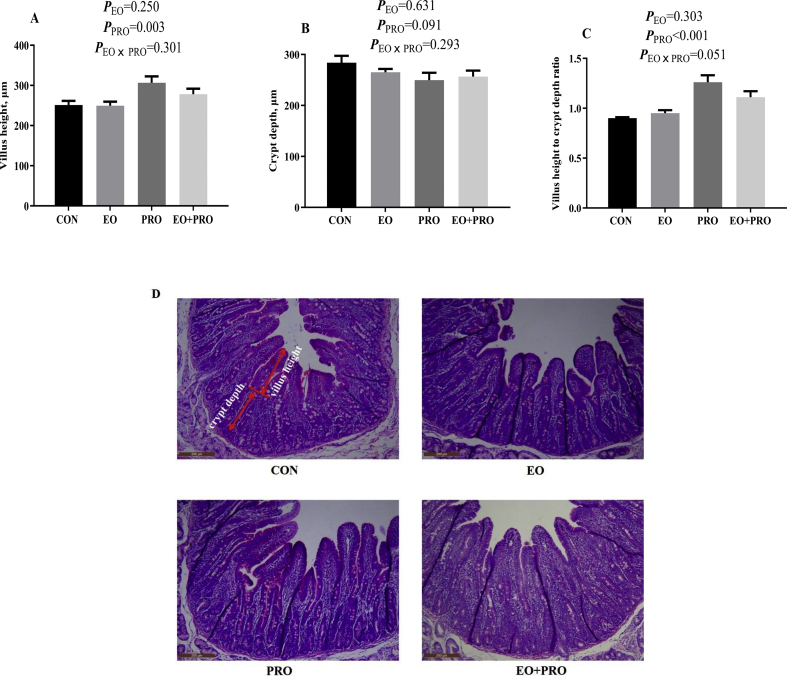 Fig. 3