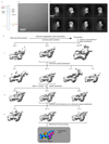 Extended Data Figure 1