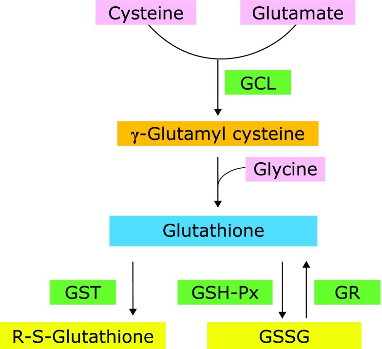 Fig. 2