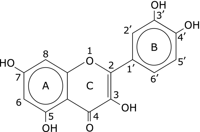 Fig. 1