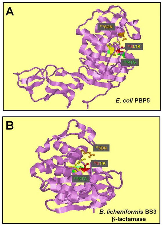 Fig. 5