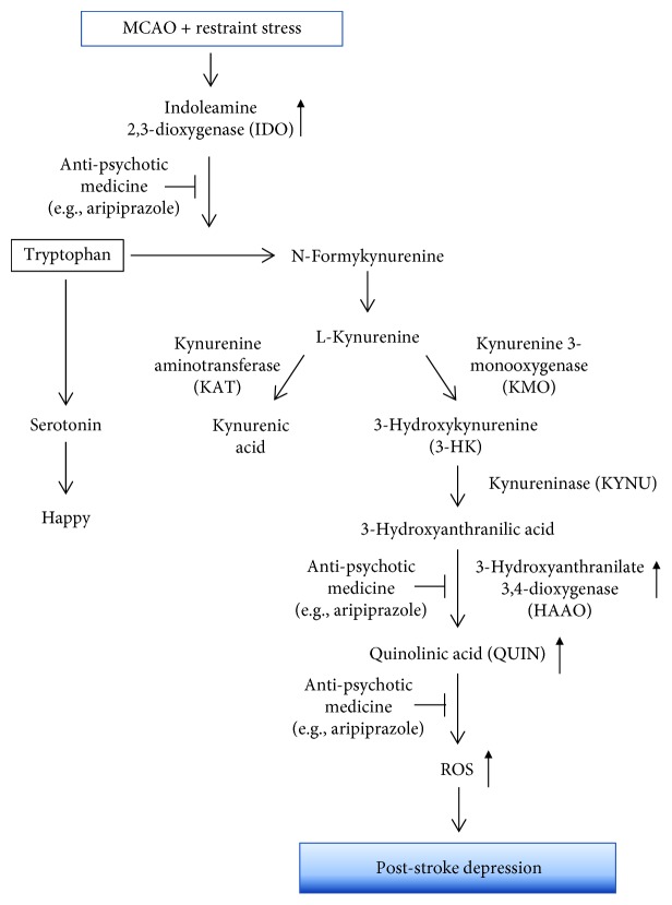 Figure 10