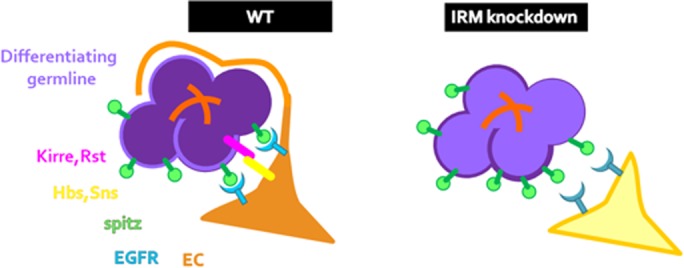 Fig. 7.