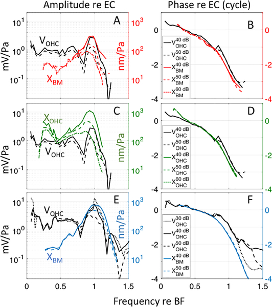 Figure 4: