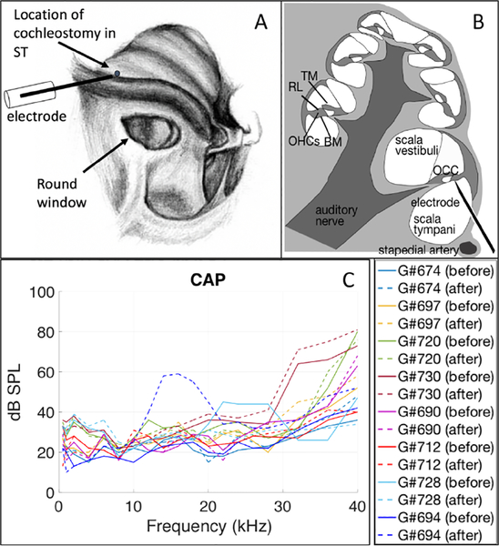 Figure 1: