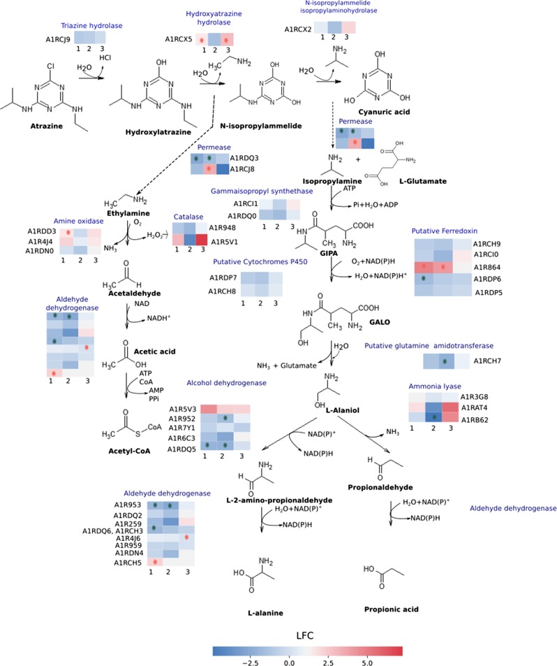 Fig. 6