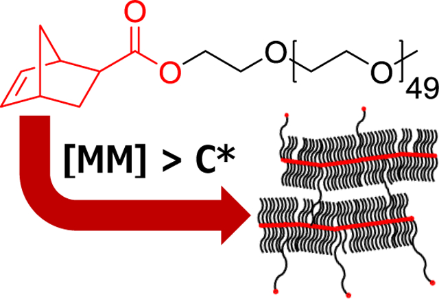 graphic file with name nihms-1772113-f0001.jpg