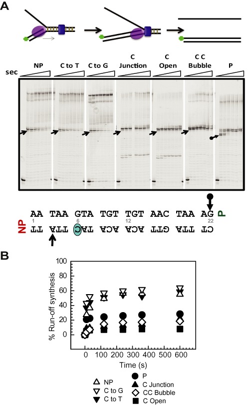 Figure 5.