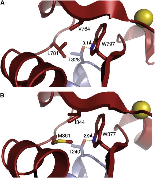 Figure 6