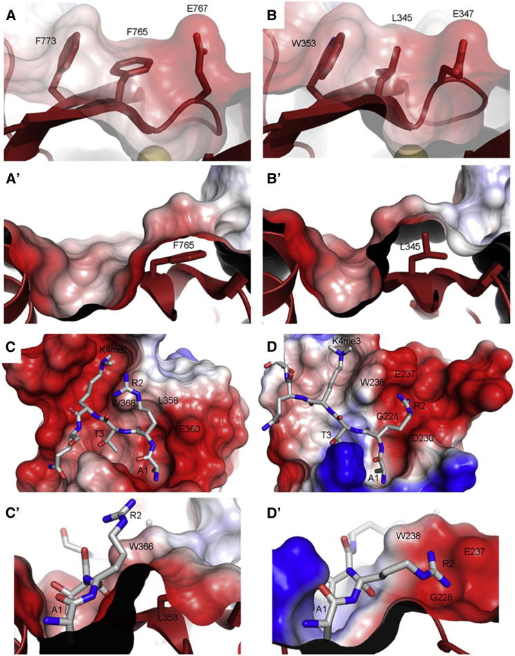 Figure 2