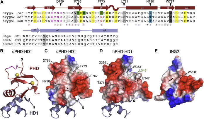 Figure 1