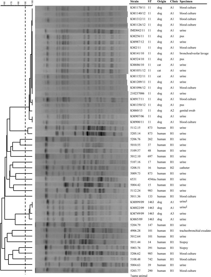 FIG 1