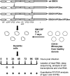 FIG 1