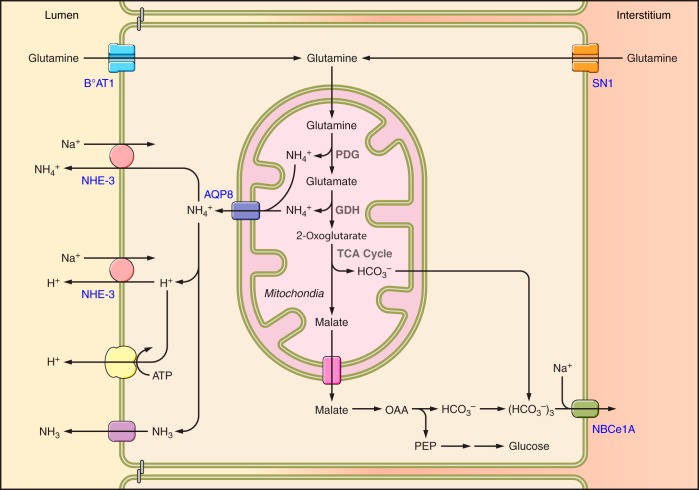 FIGURE 7.