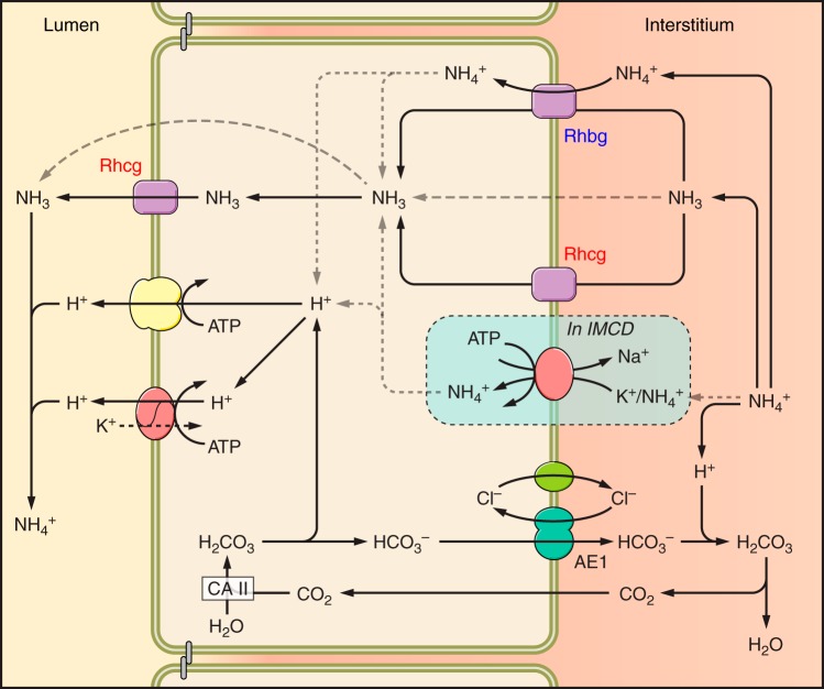 FIGURE 9.