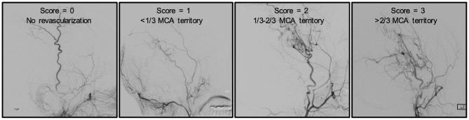 FIGURE 1.