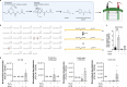 Extended Data Fig. 6
