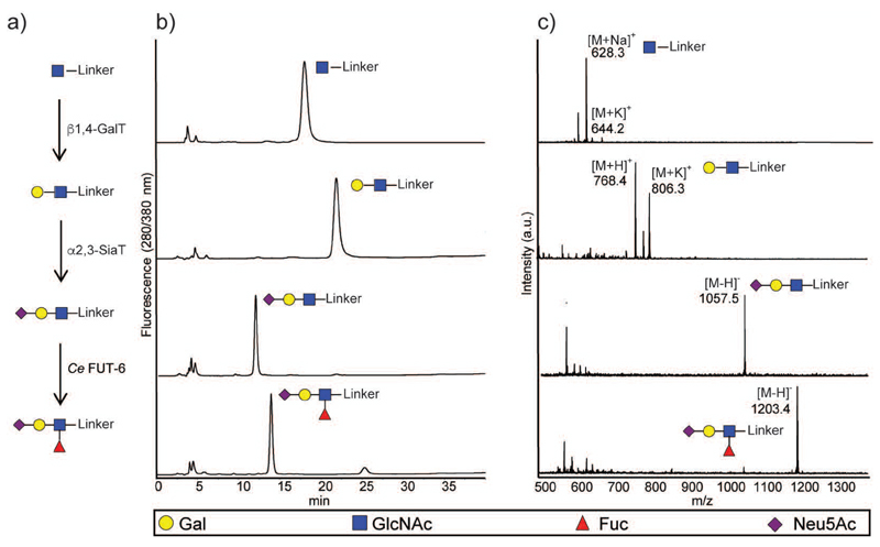 Fig. 2